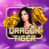 Dragon Tiger 22win RTP
