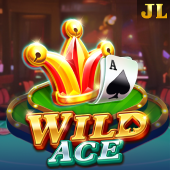 Wild Ace 22win slot game